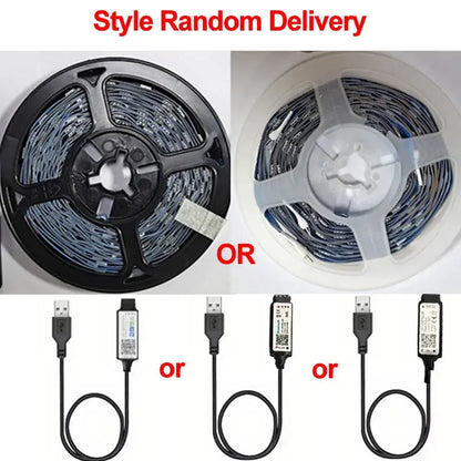 Bluetooth LED Strip Lights Smart SMD 5050 ryshop
