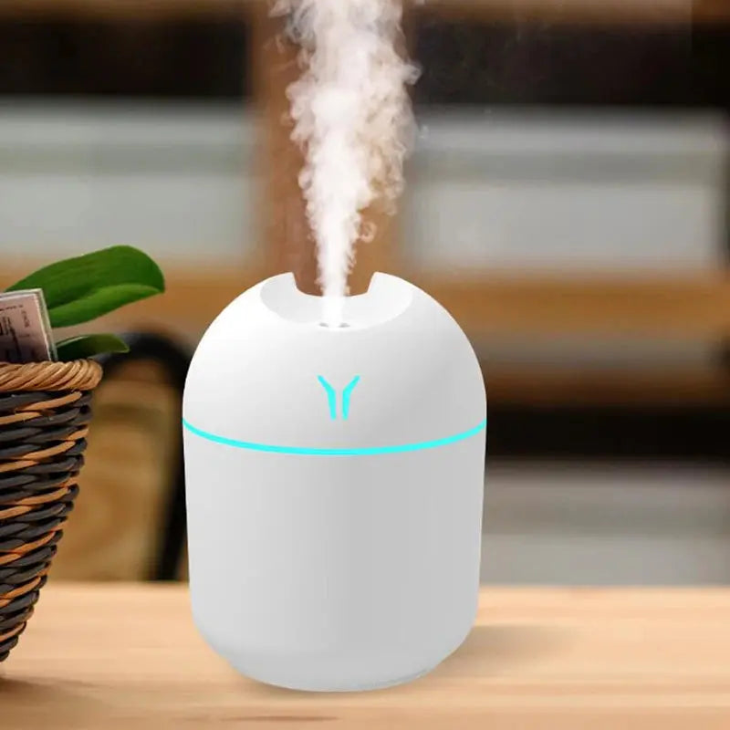 250ML USB Mini Air Humidifier Aroma Essential Oil Diffuser ryshop