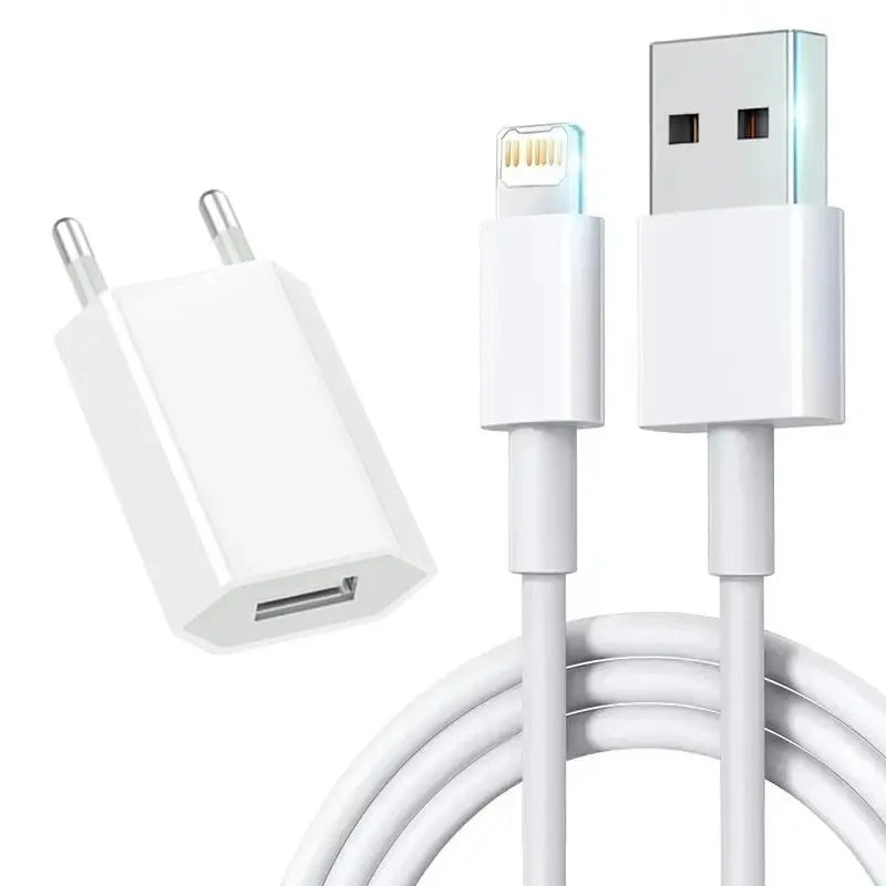 Fast Charging Original EU USB Charger for iPhone Models ryshop