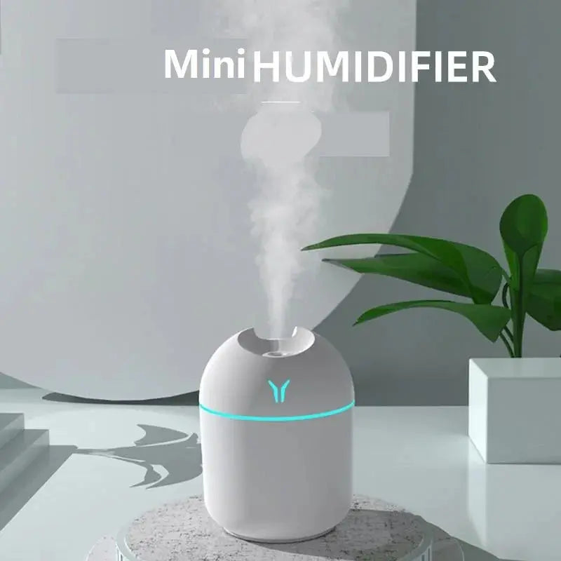 250ML USB Mini Air Humidifier Aroma Essential Oil Diffuser ryshop